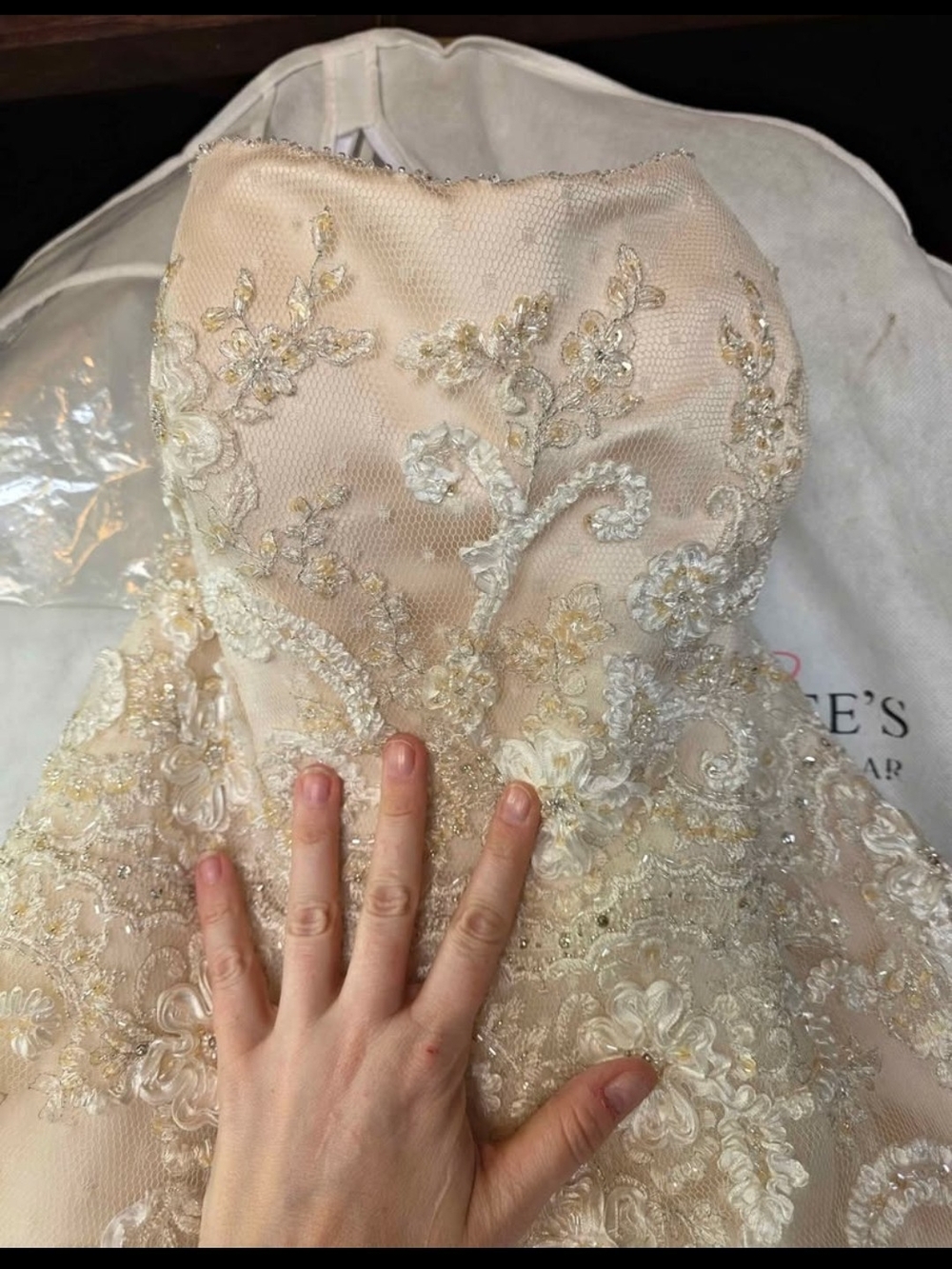 Strapless Lace Appliqué Ball Gown Wedding Dress in Champagne - Picture 2 of 4